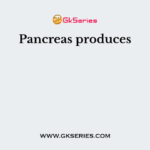 Pancreas produces