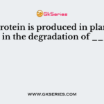 Pel B protein is produced in plants and helps in the degradation of ______   
