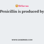 Penicillin is produced by