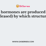 Peptide hormones are produced (and/or released) by which structure?