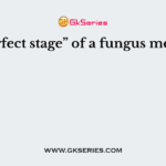 “Perfect stage” of a fungus means