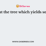 Pick out the tree which yields soft fibre