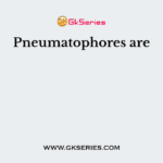 Pneumatophores are