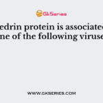 Polyhedrin protein is associated with one of the following viruses
