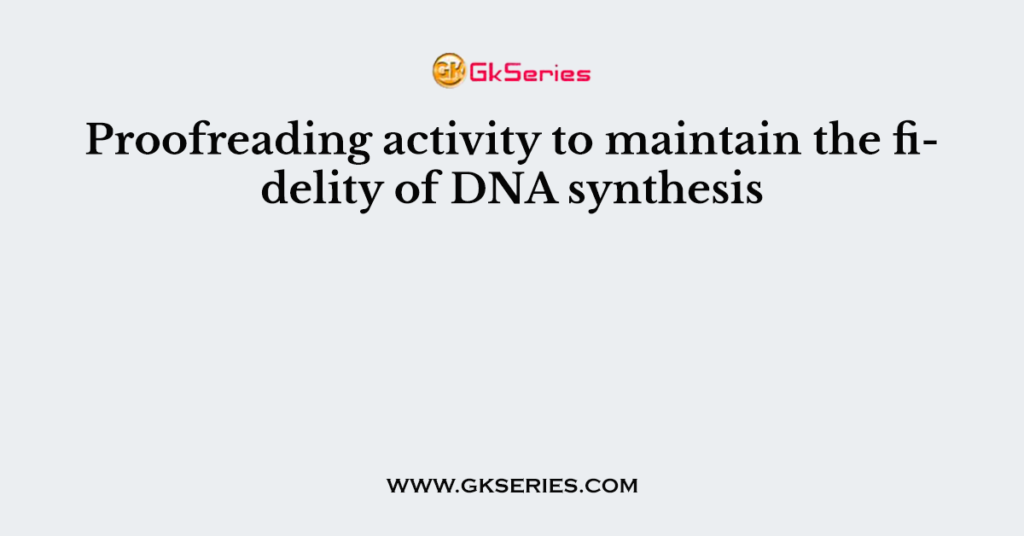 Proofreading activity to maintain the fidelity of DNA synthesis