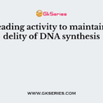 Proofreading activity to maintain the fidelity of DNA synthesis