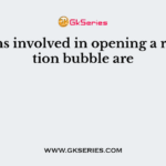 Proteins involved in opening a replication bubble are
