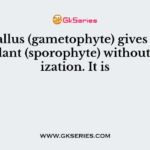 Prothallus (gametophyte) gives rise to fern plant (sporophyte) without fertilization. It is