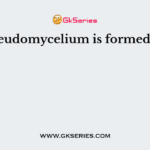 Pseudomycelium is formed in