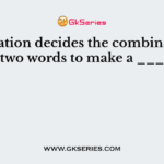 Punctuation decides the combination of two words to make a ___