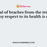 Removal of braches from the tree without any respect to its health is called