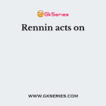 Rennin acts on