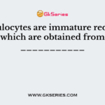 Reticulocytes are immature red cells, which are obtained from ___________