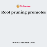 Root pruning promotes