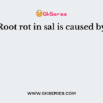 Root rot in sal is caused by