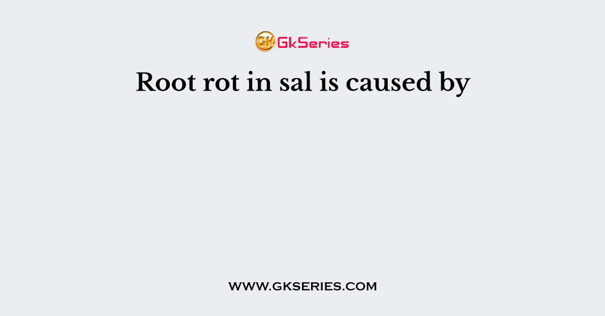Root rot in sal is caused by