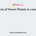Root rot of Sweet Potato is caused by