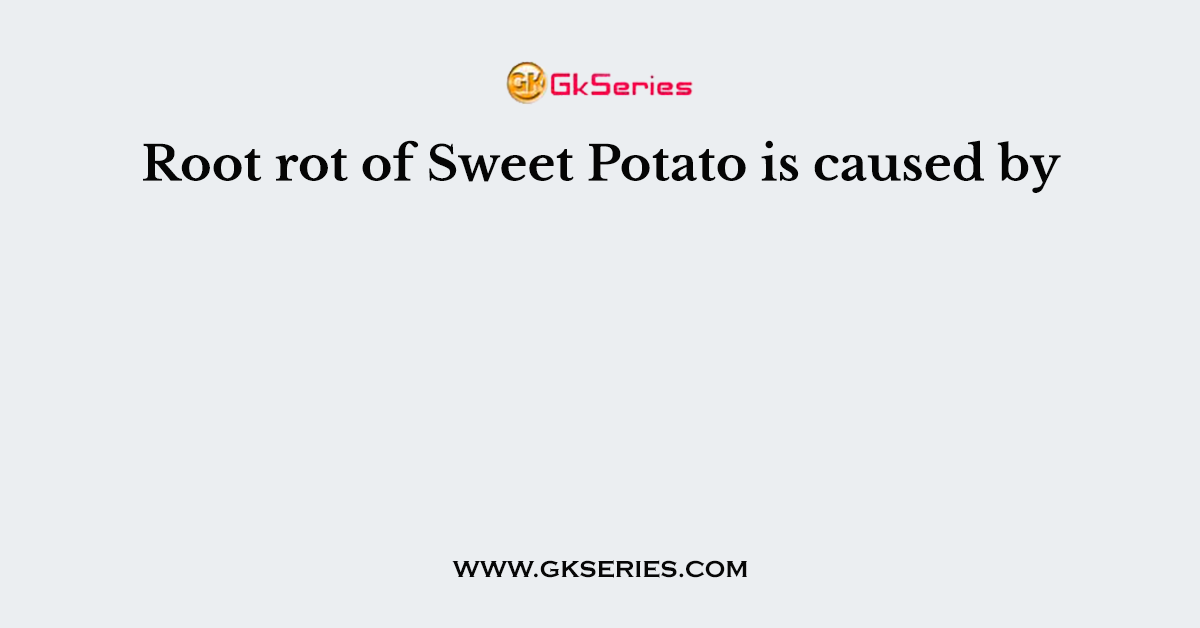 Root rot of Sweet Potato is caused by