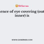 Sequence of eye covering (outer to inner) is