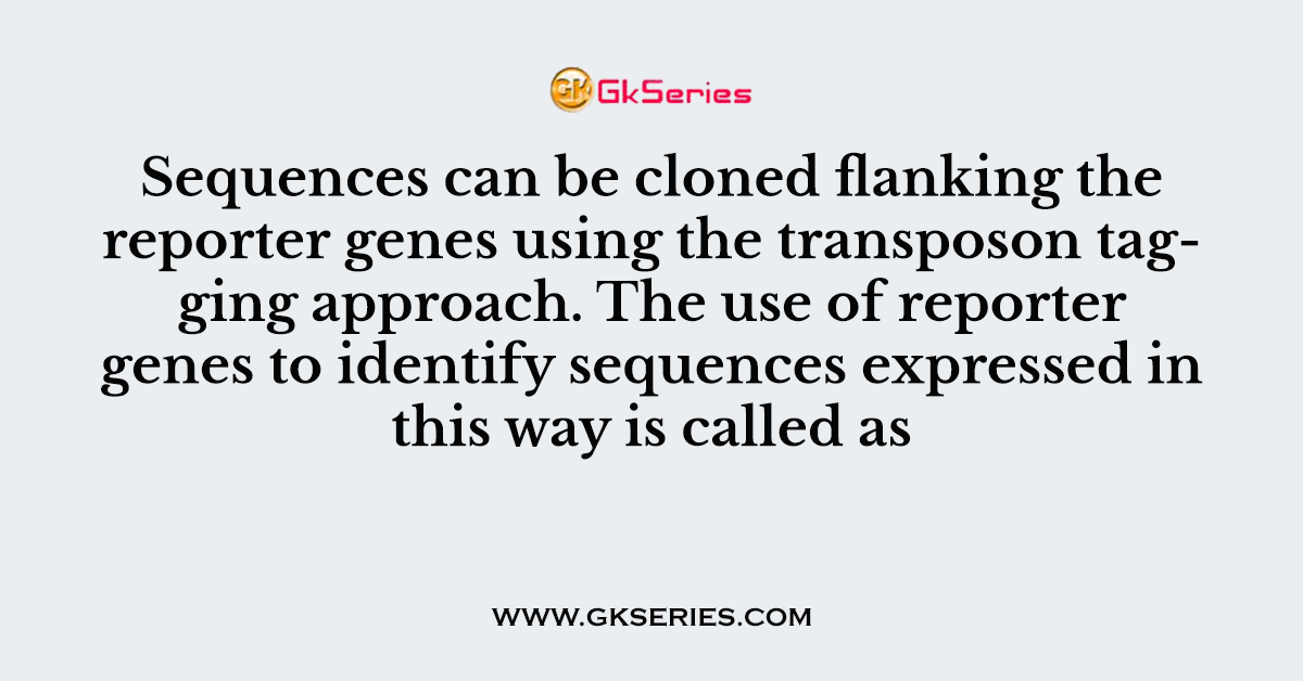 Sequences can be cloned flanking the reporter genes using the transposon tagging approach