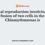 Sexual reproduction involving the fusion of two cells in the Chlamydomonas is
