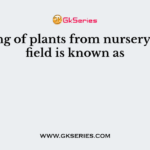 Shifting of plants from nursery to the field is known as