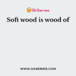 Soft wood is wood of