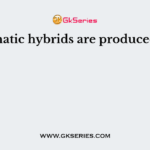 Somatic hybrids are produced by
