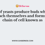 Some of yeasts produce buds which fail to detach themselves and forms short chain of cell known as
