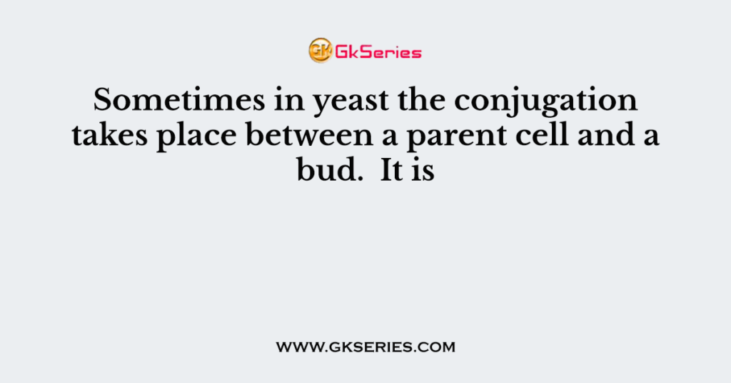 Sometimes in yeast the conjugation takes place between a parent cell and a bud. It is