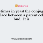 Sometimes in yeast the conjugation takes place between a parent cell and a bud.  It is