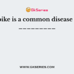 Spike is a common disease of _________