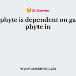 Sporophyte is dependent on gametophyte in