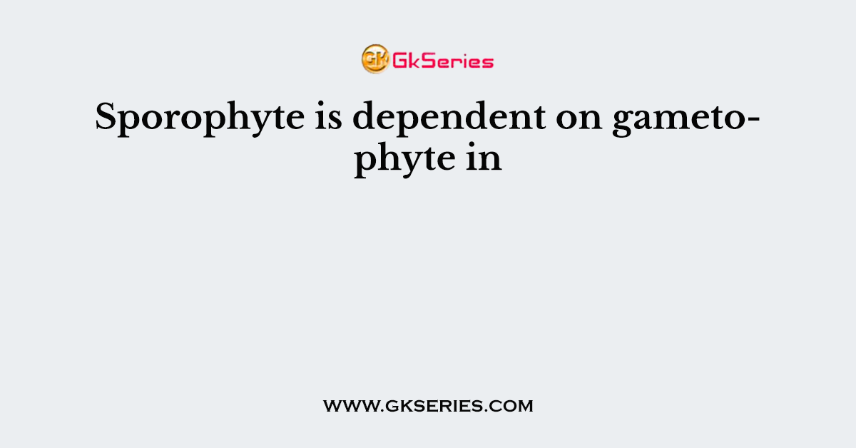Sporophyte is dependent on gametophyte in