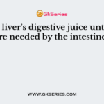 Stores liver’s digestive juice until they are needed by the intestines