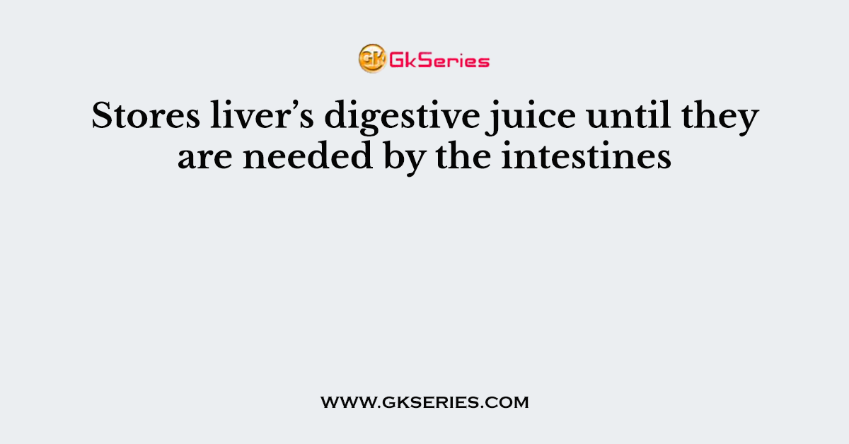 Stores liver’s digestive juice until they are needed by the intestines
