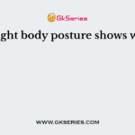 Straight body posture shows what?