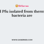 Taq and Pfu isolated from thermophilic bacteria are