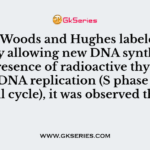 Taylor, Woods and Hughes labeled Vicia DNA by allowing new DNA synthesis