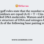 The Chargaff rules state that the number of purines and pyrimidines are equal (A+G = T + C)in any double-stranded DNA molecules