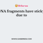 The DNA fragments have sticky ends due to