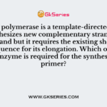 The DNA polymerase is a template-directed enzyme that synthesizes new complementary strand from a