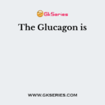 The Glucagon is