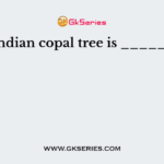 The Indian copal tree is _________