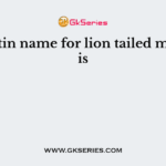 The Latin name for lion tailed macaque is