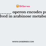The ______ operon encodes proteins involved in arabinose metabolism