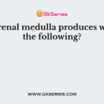 The adrenal medulla produces which of the following?