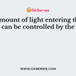 The amount of light entering the eye can be controlled by the