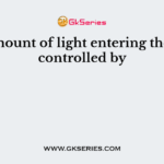 The amount of light entering the eye is controlled by