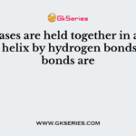The bases are held together in a DNA double helix by hydrogen bonds. These bonds are